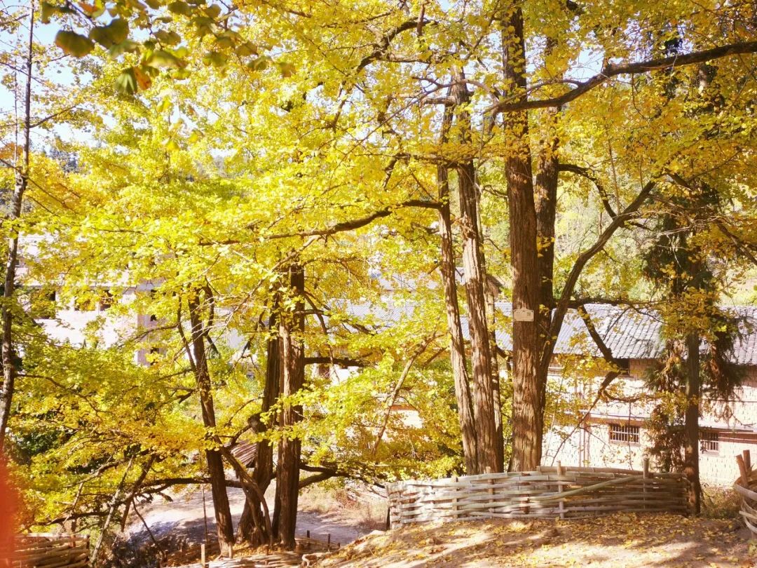 这才是国内34省区的最美天堂！