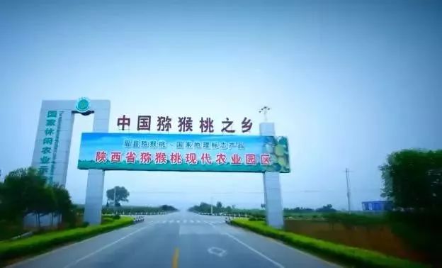 眉县猕猴桃为什么能上央视,眉县猕猴桃品牌故事