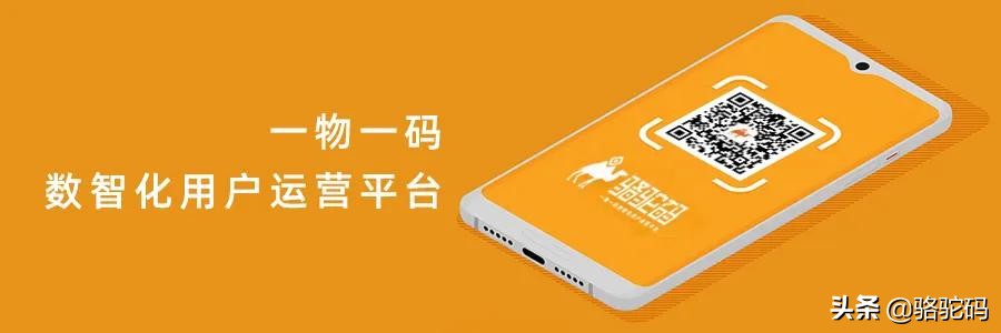 激荡时代，骆驼码6大优势赋能品牌数智营销