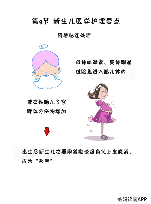 女宝宝外阴粘连怎么操作分开,宝宝外阴粘连如何分离