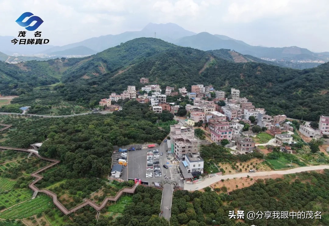 茂名荔枝大会,茂名市520荔枝产业大会