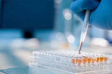 试管婴儿移植后剩余的胚胎怎么办,试管婴儿移植成功后会一直腹胀吗