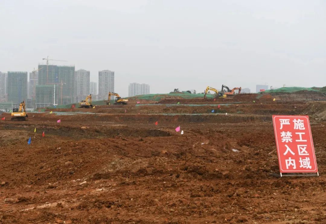 开挂了！比肩世界的爆款区域利好多到数不清！一般人已高攀不起