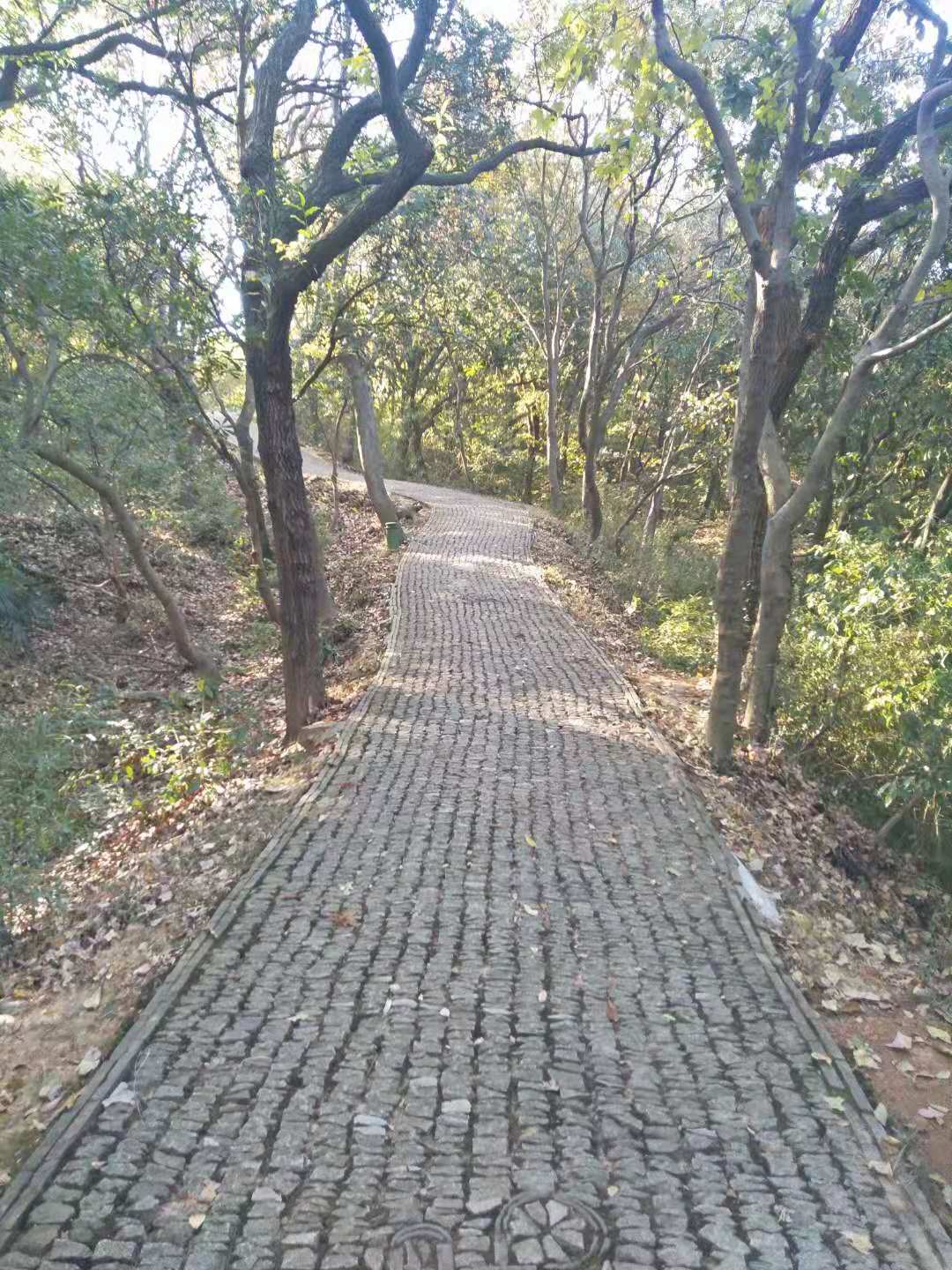 苏州上方山动物园,苏州上方山