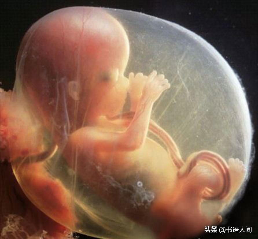 孩子老闹觉怎么哄睡,宝宝夜间总是醒怎么办