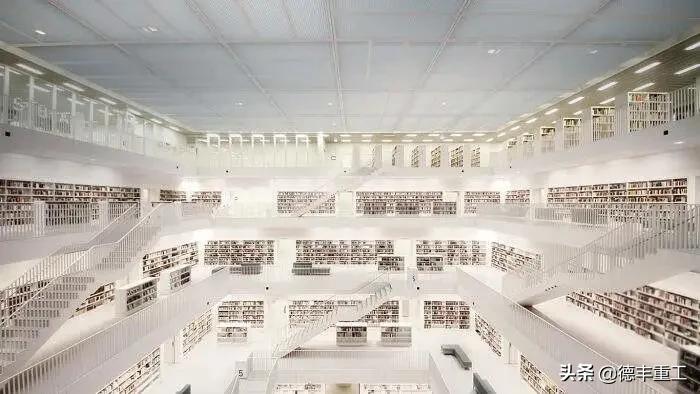 全球美到窒息的白天鹅和山水风景,全世界惊艳的图书馆
