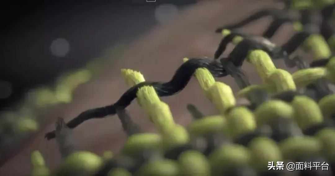 nike女款运动内衣加紧身裤,nike运动女内衣