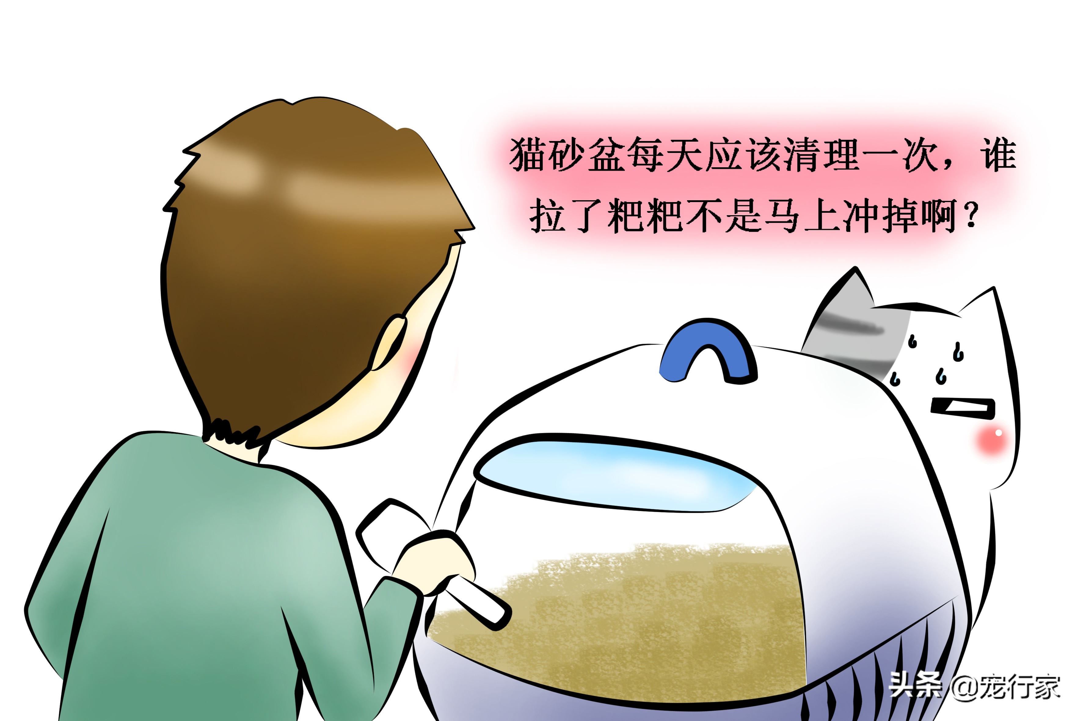 看着猫咪吃美食,看着猫咪吃老鼠猫咪会牙齿软吗