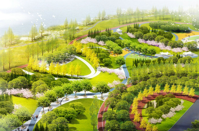 拆违复绿，建设滨河生态园林城市，临沂这家园林公司干得不错