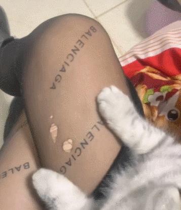 猫咪没坏心眼视频,猫咪无聊的十个表现图片