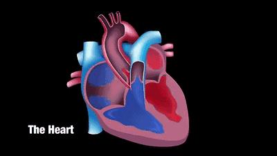 冠心病危险指数低了好还是高了好,冠心病患者防止猝死记住这五点