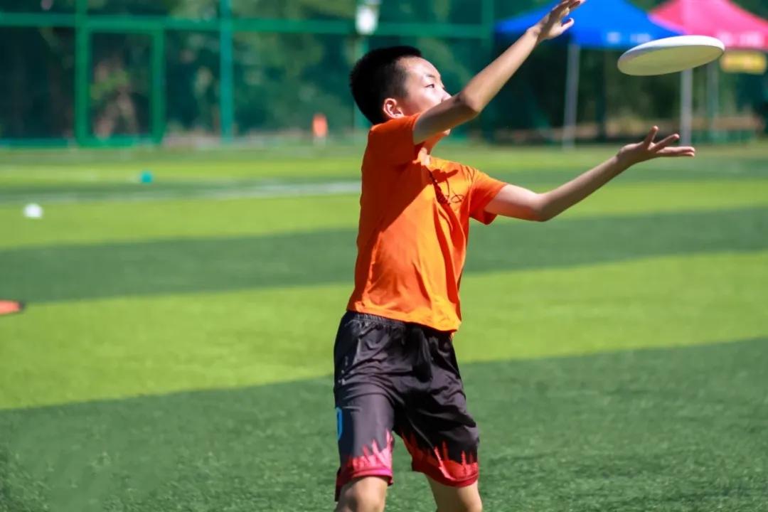 飞盘的4种基本扔法玩法,盘不落地