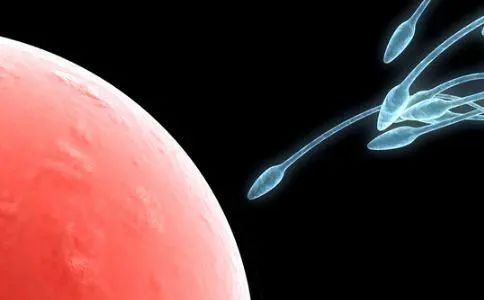 人工授精前要做什么检查吗,人工授精几次成功案例分享