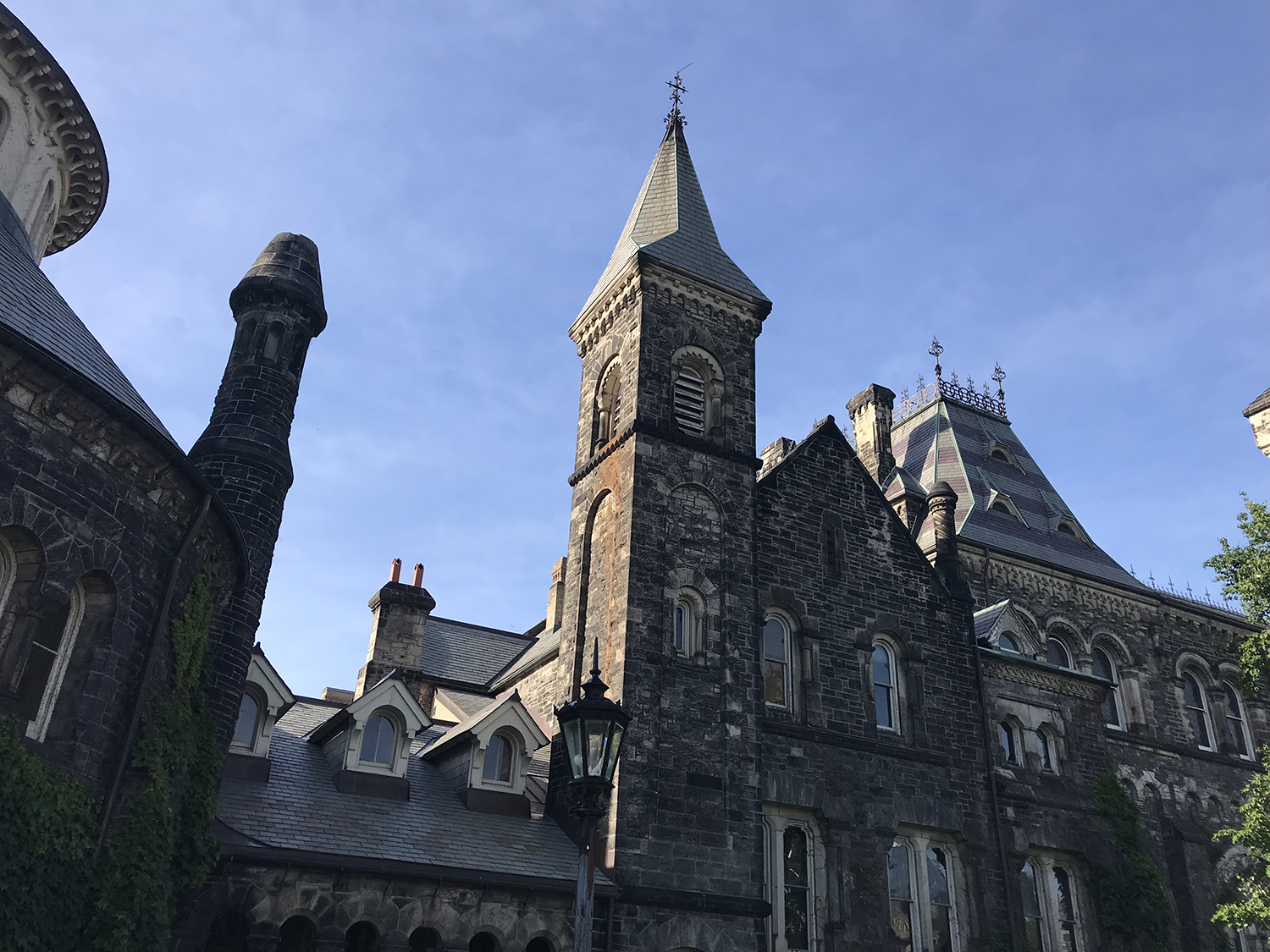 加拿大留学生入境带大白兔奶糖，被海关当做兔肉，拉入黑名单？