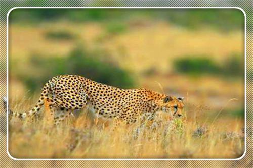 60岁负债100万怎么办,60岁负债200万怎么办