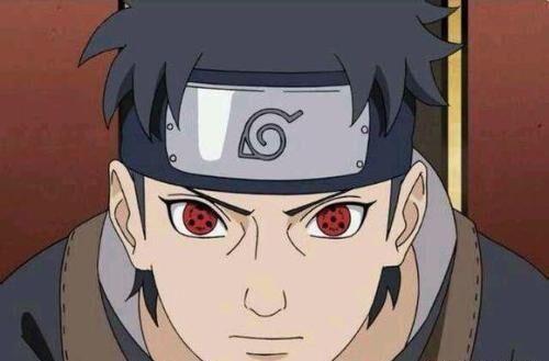 火影忍者中哪些人拥有写轮眼,火影忍者中写轮眼最多的人是谁