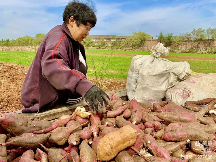 洛阳市宜阳凤凰岭射箭,宜阳县凤凰岭体育基地