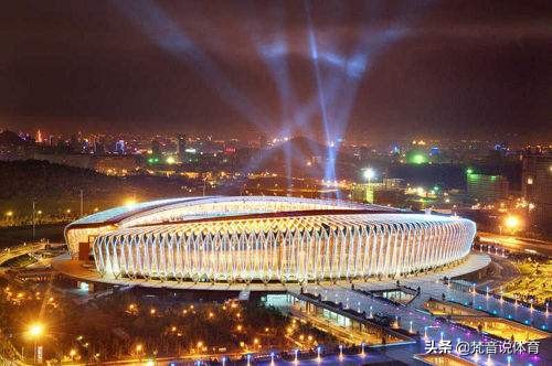 鲁能球场改建,鲁能新大球场