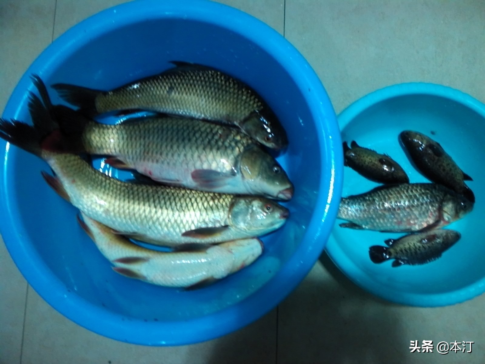钓鱼怎么选择窝子,石窝钓鲤鱼钓法