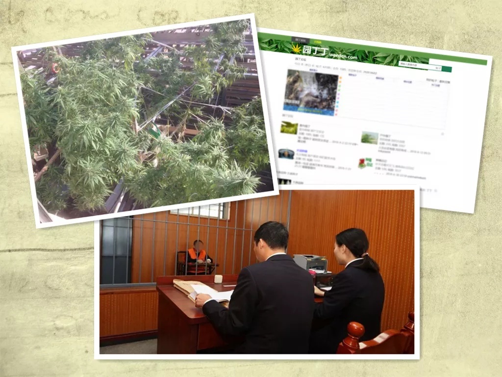绁炵缃戠粶璁哄潧娑夋浜哄憳,绁炵缃戠粶妗堜欢