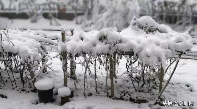 中国每隔多少年发生一次饥荒,中国近代的大规模饥荒时间