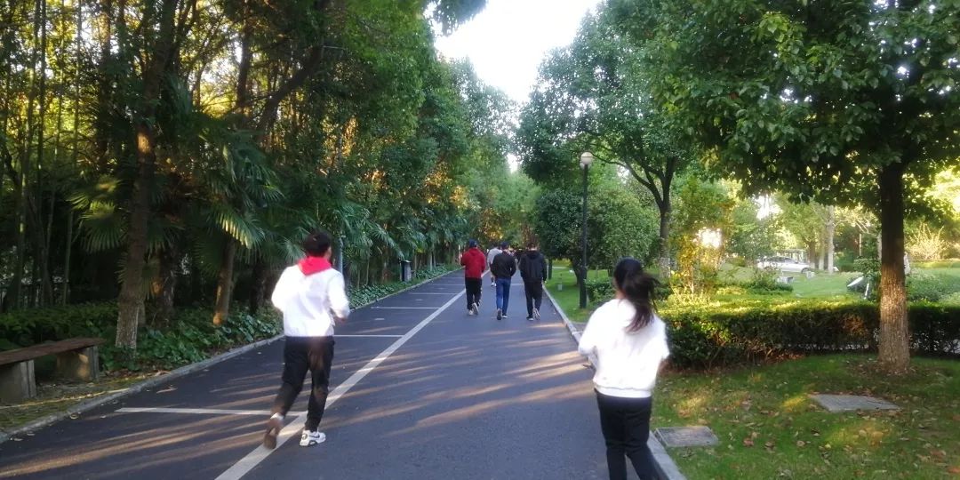 上海市晨跑团,沪上23所高校