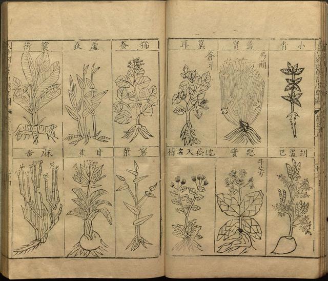 李时珍与本草纲目ppt课件,神农本草经正版李时珍书籍