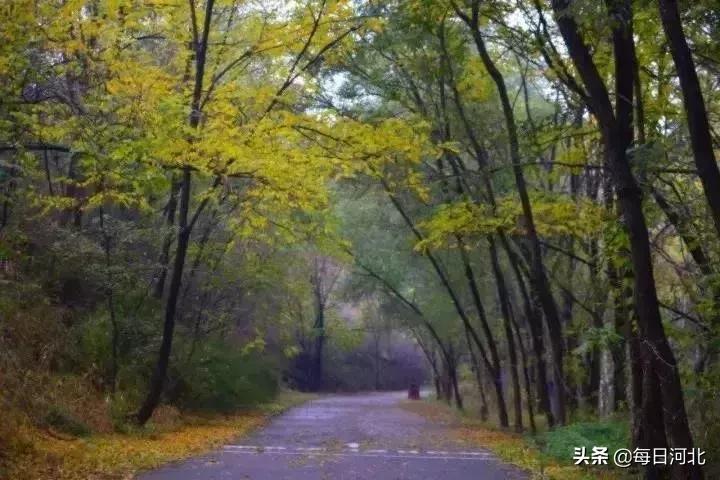 閲庣敓婧愬害鍋囨潙,閲庣敓鍘熷害鍋囨潙寰掓