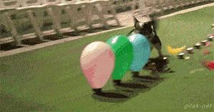 搞笑gif段子妹子有点太淘气了,搞笑小萝莉图片