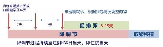 试管婴儿七大步骤,试管婴儿几大攻略助孕提高成功率