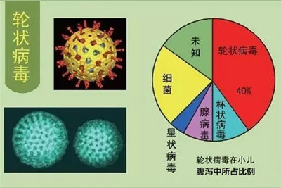 臭氧消灭螨虫的方法,室内除螨虫最有效方法