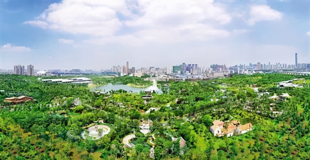 垃圾填埋场改建项目可研,垃圾填埋场改造成产业园