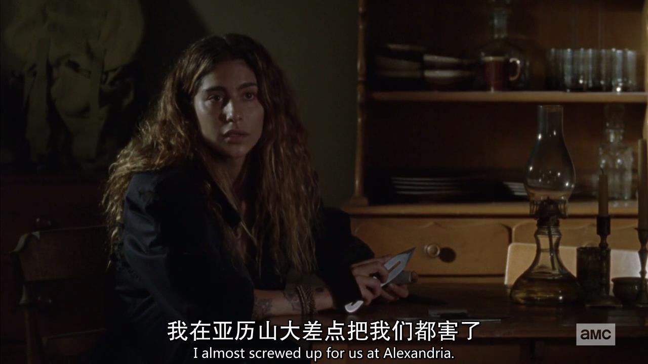 行尸走肉s01,行尸走肉9-12季讲解大全