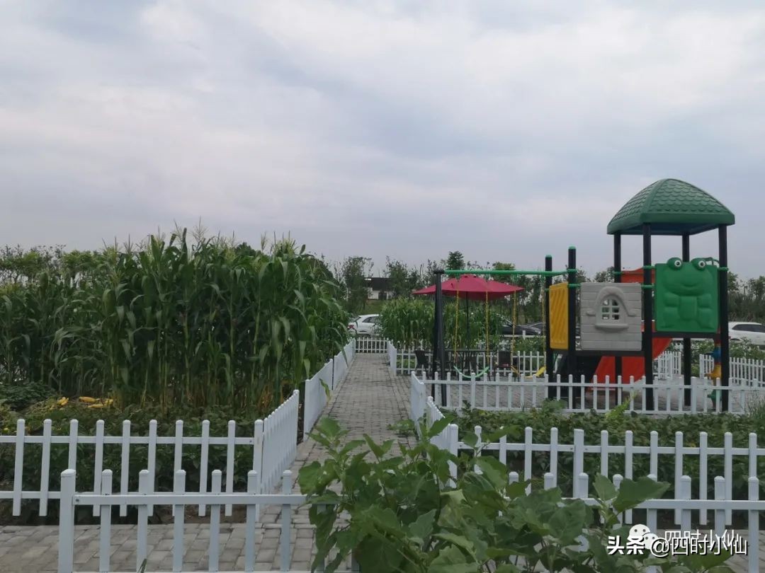 极简风网红民宿,8家网红民宿推荐
