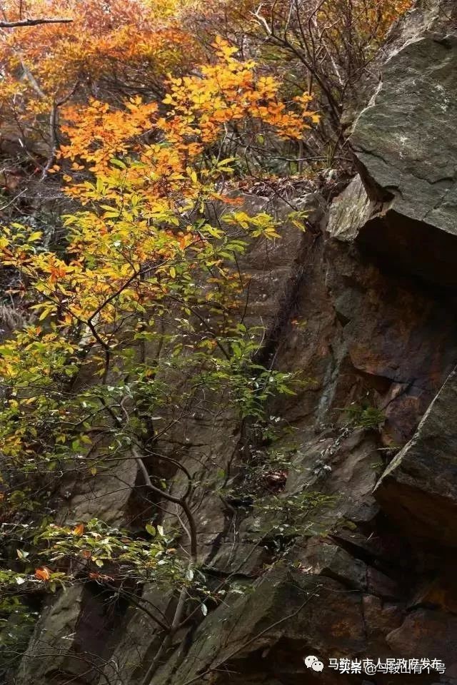 马鞍山5a景区,马鞍山旅游区排名
