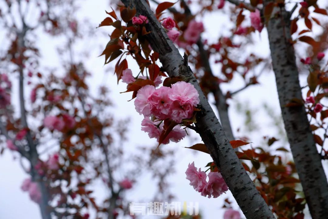 郑州周边人少清静有山有水的地方,郑州人少的公园适合野营