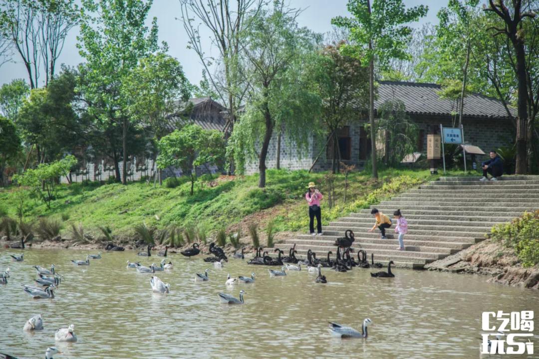 长沙适合野餐的地方,长沙周边遛娃一日游玩最佳地方