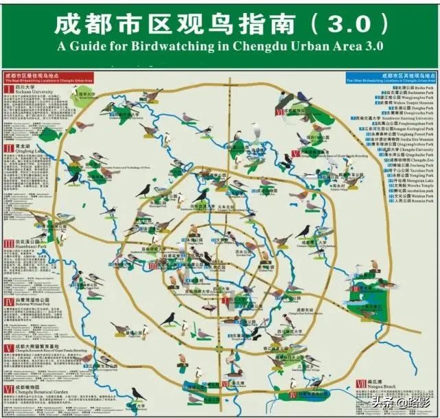 花重锦官城,花重锦官城长安