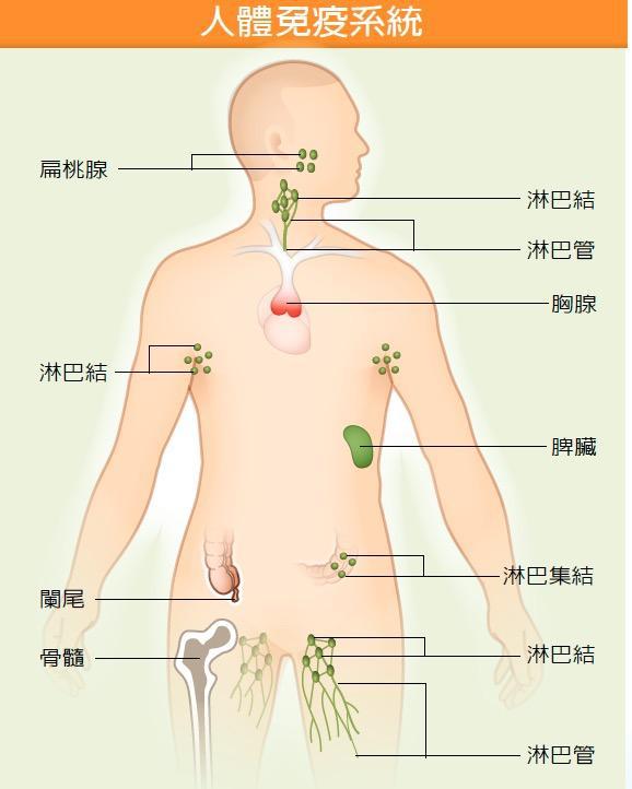 *行为性**传播艾滋病率很低，但艾滋病人比例却很高，为什么会这样？
