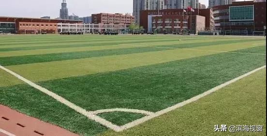 滨海新区教育工作,滨海新区开学