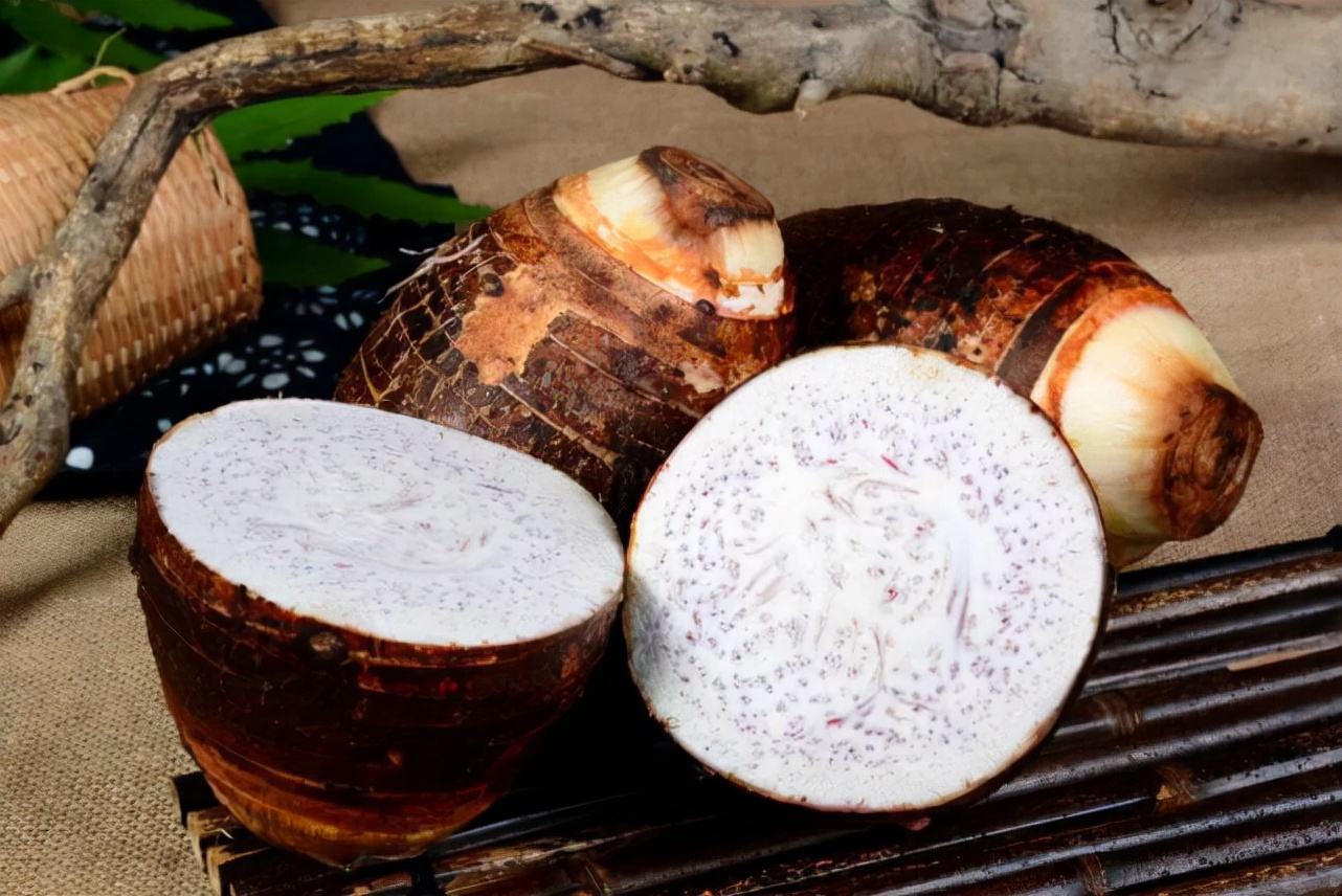 天南星不适合什么人吃,天南星跟南星一样吗有毒吗