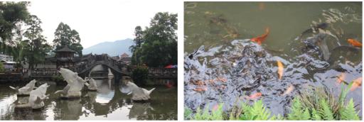 百校千生闽东行丨“追寻初心·服务宁德”临沂大学教育学院“红色基因代代传”实践队福建活动纪实