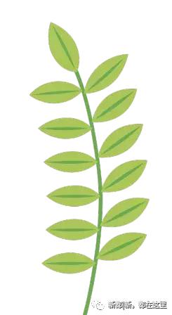 别样馫味！新都天府沸腾小镇，麻辣盛宴等你打卡