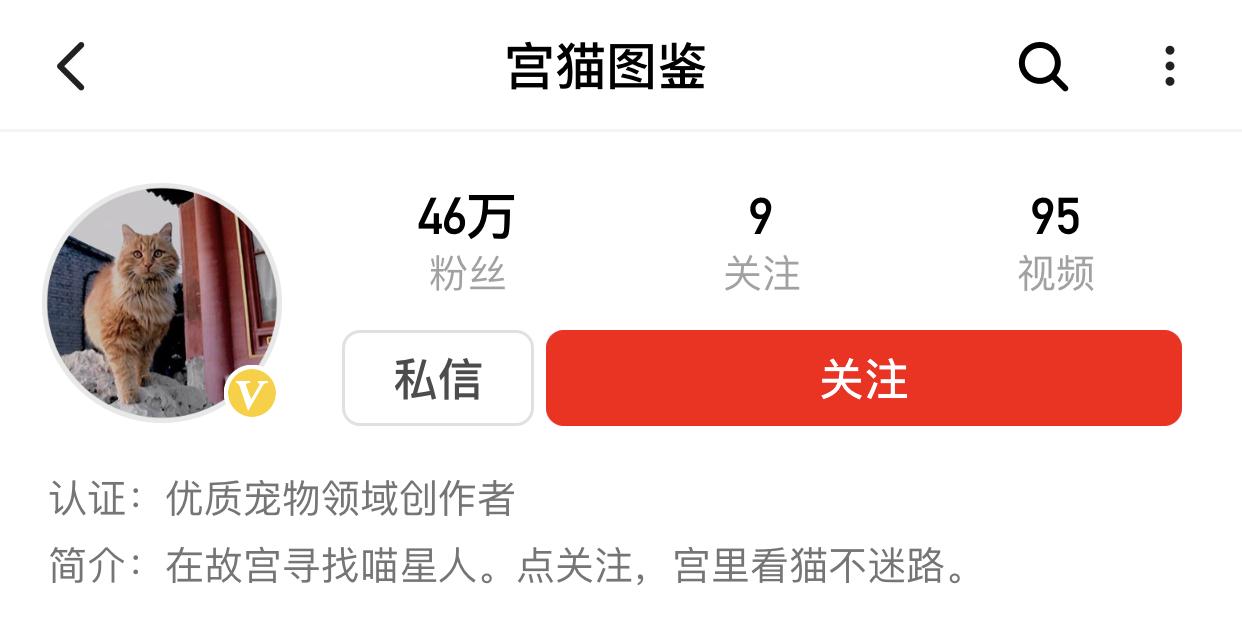 二十多岁进宫，在紫禁城中撸猫8年，她揭开了不为人知的故宫往事
