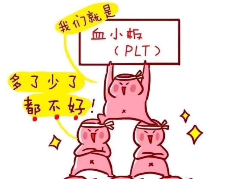 血小板过高吃什么降血小板,血小板低吃什么可以补血小板