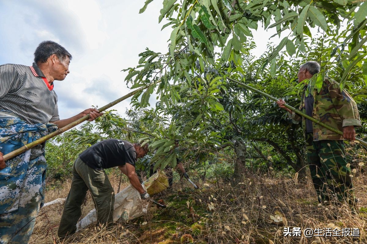 从中国制造转身为中国智造,从中国制造到中国智造未来