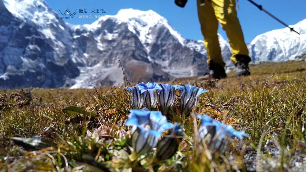 高山低谷的感悟,高山之巅的感悟