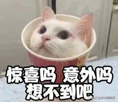 精装房厨房布局不合理能改吗,精装房厨房拆不拆