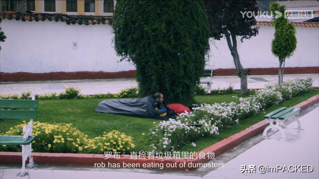 robgreenfield多少钱,robingreenfield