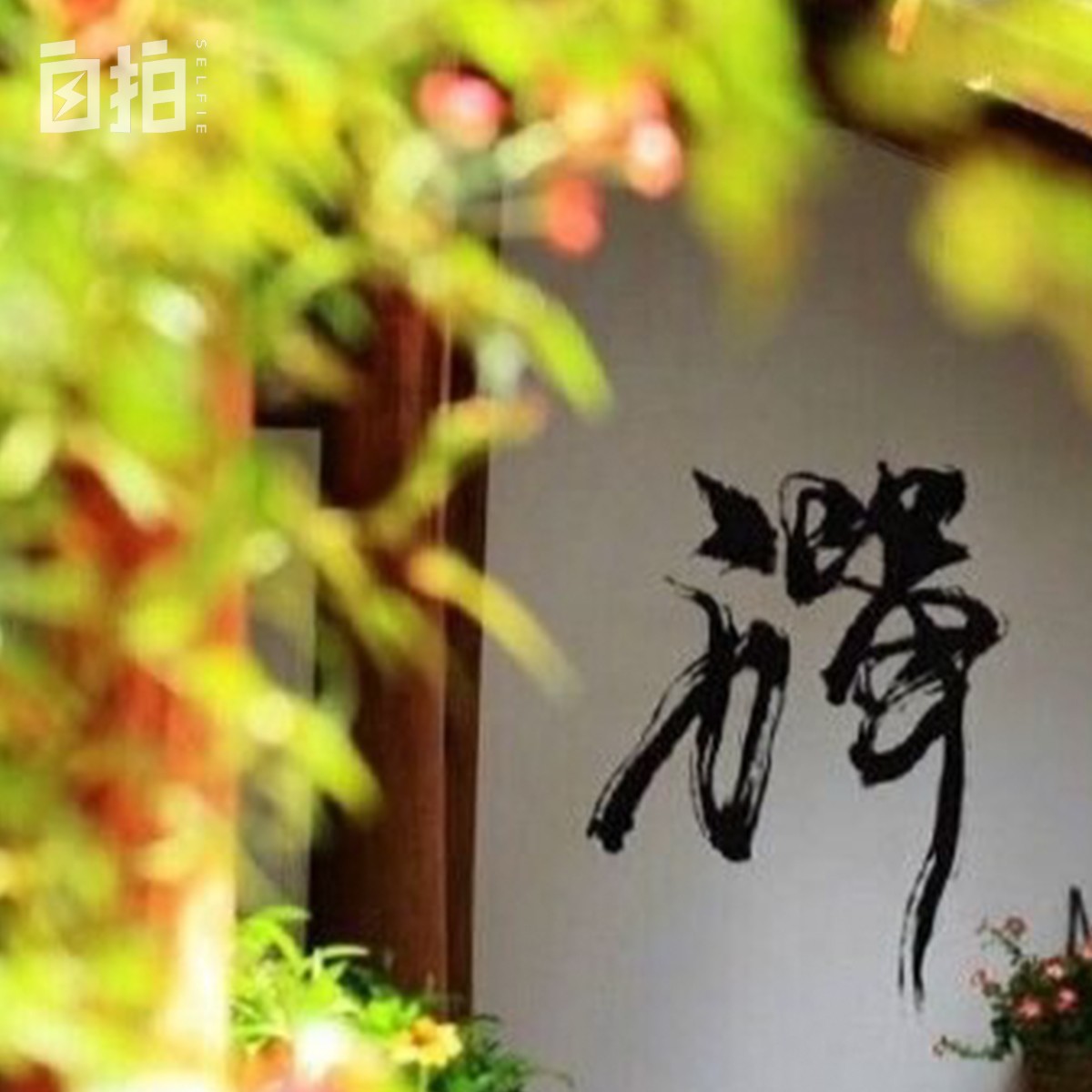 我在部队大院里长大,我是在部队大院长大的